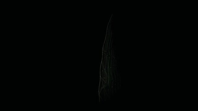 Spider web glistening in darkness motion footage with dark minimal background