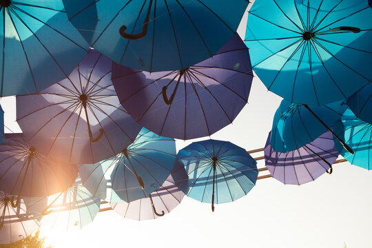 Blue and purple umbrellas are suspended overhead with sunlight between them, vibrant outdoor decoration, creative festival background.