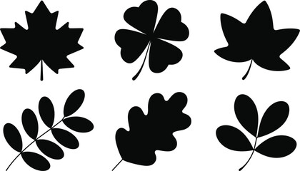 Obraz premium Black leaf silhouettes set including maple, clover, oak, and autumn foliage shapes isolated on a clean white background vector.