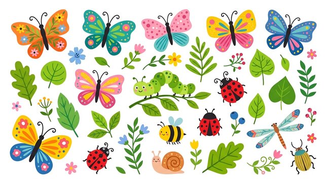 Colorful garden insects collection, cute butterfly and ladybug illustrations, whimsical nature bugs and green leaves set for kids