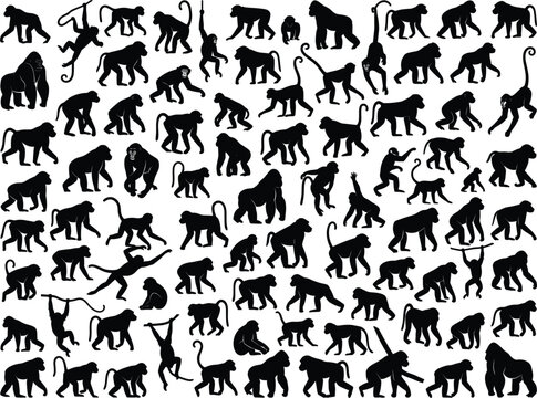 Monkey ape and gorilla animal silhouettes vector illustration mega collection isolated on white background