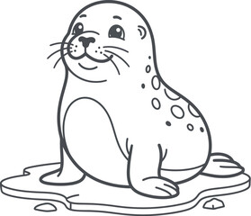 Obraz premium sea lion on the beach