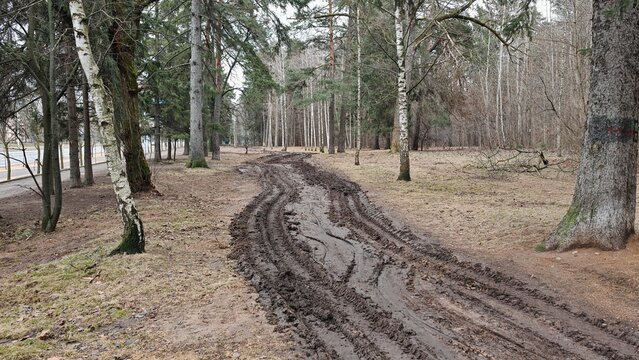 A dirt road with tire tracks runs through the trees on a grassy lawn. There's mud on the road. There is a forest and an asphalt road nearby. Cloudy spring weather