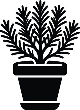 Rosemary Plant in Terracotta Pot Silhouette