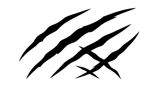 Animal claw scratches vector illustration with crossed scratch marks tiger claw cuts bear slashes or wild beast attack wounds isolated on white background