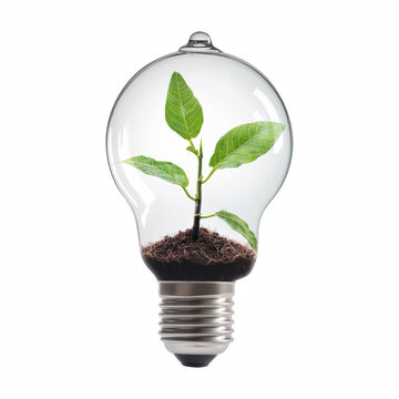 Transparent Light Bulb with Green Seedling isolated on transparent background Generative Ai.