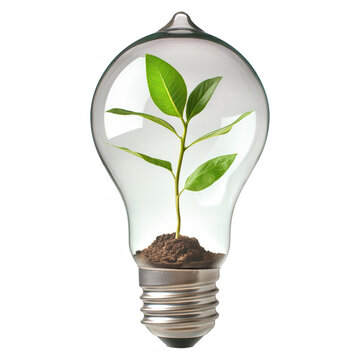 Transparent Light Bulb with Green Seedling isolated on transparent background Generative Ai.