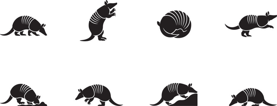 Collection of armadillo silhouette icons climbing and moving isolated on white background for wildlife design. silhouette icons vector