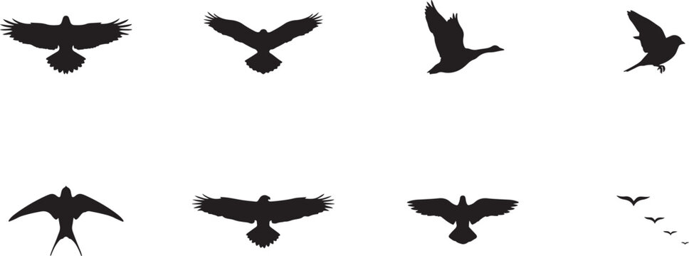 Set of black bird silhouettes from a top down perspective isolated on white for avian migration and flight graphics. silhouette icons vector