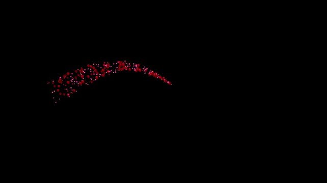 particular animation