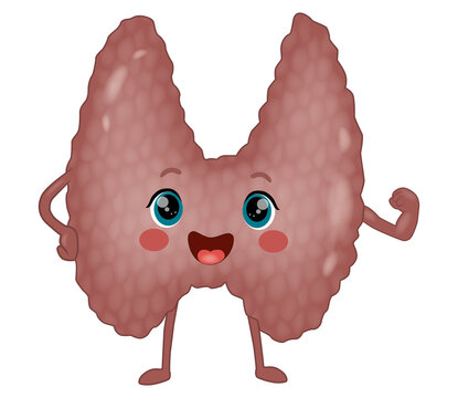 Cute Thyroid Gland Cartoon Character with Happy Face, Human Endocrine Organ Mascot Illustration. Happy Thyroid Mascot Character, Cute Human Endocrine Gland Cartoon