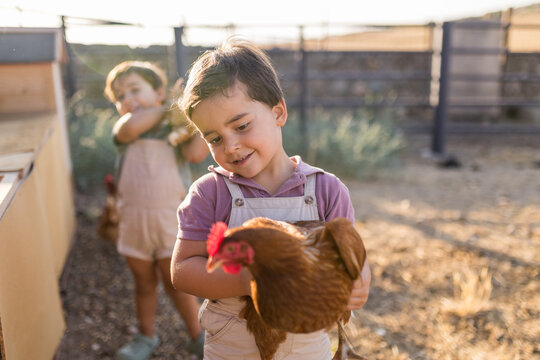 Two little brothers catching a hen near chicken coop