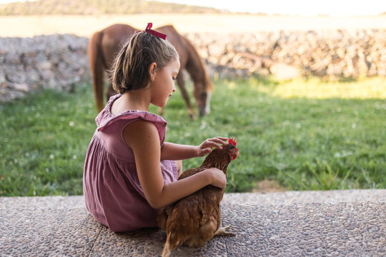 Little girl stroking brown hen next to egg basket at patio