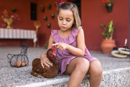 Little girl stroking brown hen next to egg basket at patio