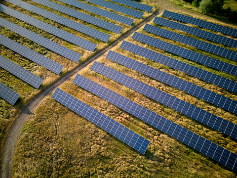 Solar Panels Cover a Field in a Renewable Energy Project