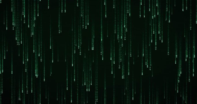 Japanese katakana characters cascade in a phosphor green matrix rain animation, creating a deep mainframe atmosphere.