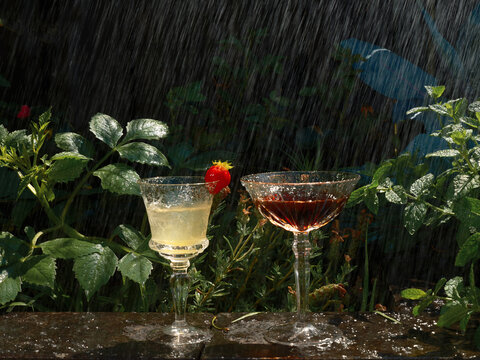 Two Drinks on a Table Among Roses in the Rain