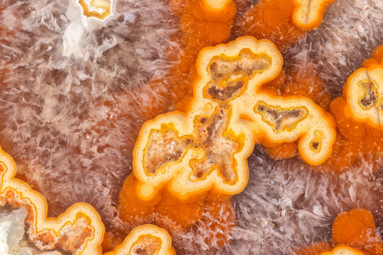 American Agate Macro