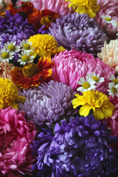 Colorful asters, chamomile and marigold flowers in pink, purple, yellow, white tones forming a vibrant floral background.