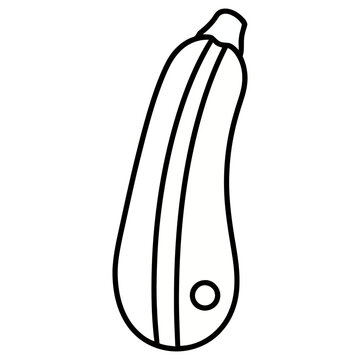 Zucchini outline
