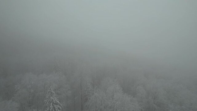 Title (ENG):
Aerial View of Heavy Fog and Mist Obscuring Frosty Snow Covered Winter Forest on Mountain Slope