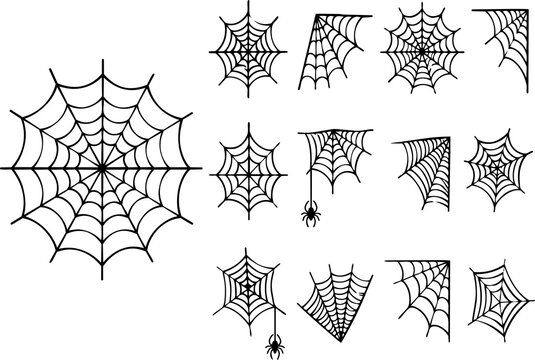 Set of various hand drawn spider webs and spiders for halloween decorations