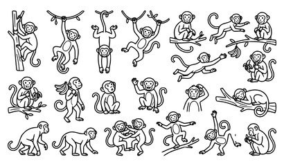 Fototapeta premium Editable Monkey Outline Illustrations in Playful Jungle Poses