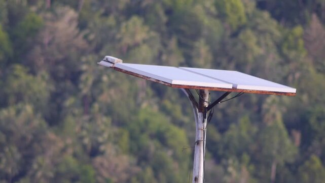 Solar Panel Powering a Light at a Seaside Pier