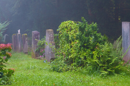 Der Nebel am Morgen vertreibt uns alle Sorgen, unterwegs im Park auf dem Friedhof im Dunst