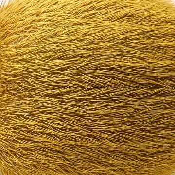 Extreme macro texture of golden recumbent setae on the body of a Niptus spider beetle