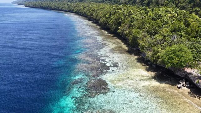 A healthy coral reef fringes a remote island in the Derawan Archipelago off the coast of East Kalimantan, Indonesia. This area harbors high marine biodiversity and is a popular vacation destination.