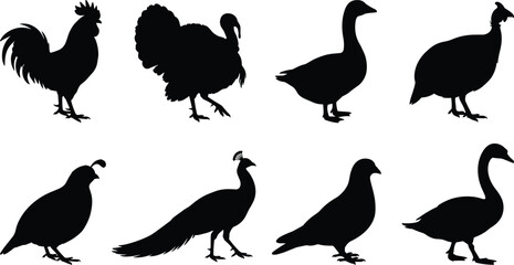 Obraz premium Poultry and domestic bird silhouette vector icon set featuring rooster, turkey, goose, peacock, pigeon, and quail.