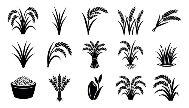 Black and white rice plant icons set, agriculture crop symbols