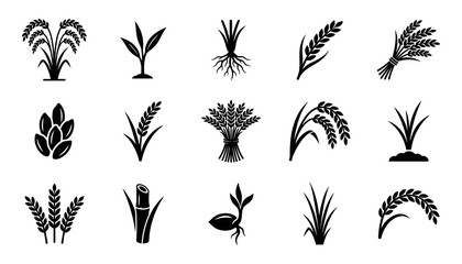 Obraz premium Black and white agriculture rice and wheat crop icons and vector graphics set