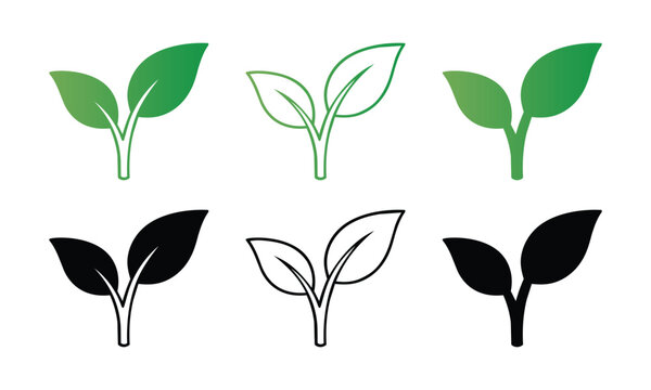 green leaf sprout icons featuring two-leaf plant seedlings in solid, outline, and silhouette styles in green and black colors isolated on white background for eco graphics.