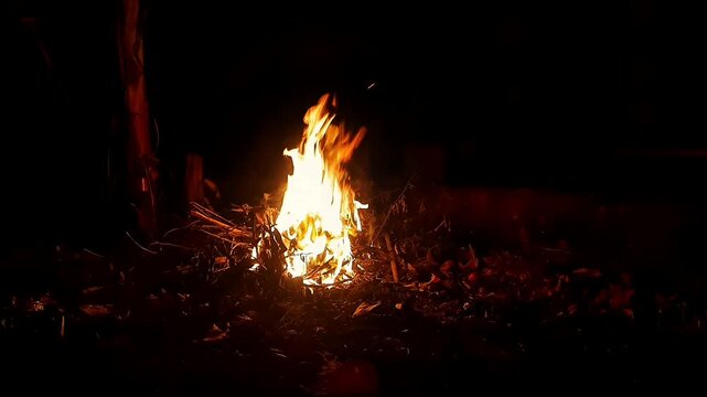 A small campfire burning brightly at night, surrounded by dry wood and natural ground. The warm glowing flames contrast beautifully with the dark background, creating a cozy atmosphere associated with