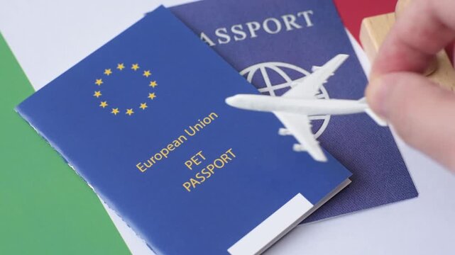 A pet passport is a document with vaccination and travel information for a cat, dog, or other animal. A pet passport as a background for your design