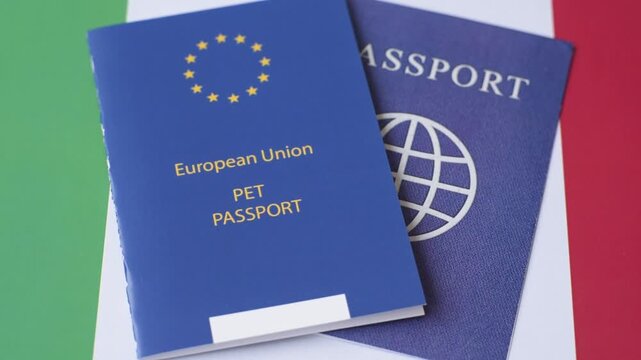 A pet passport is a document with vaccination and travel information for a cat, dog, or other animal. A pet passport as a background for your design