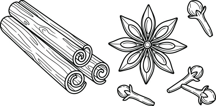 Vintage style black ink outline vector set with traditional baking spices for mulled wine ingredients design