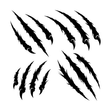 Claw scratch vector set with aggressive animal marks and sharp talons