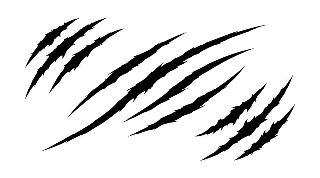 Scratch marks vector graphic set with claw cuts and animal slash silhouettes