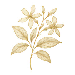 Obraz premium PNG Elegant gold floral illustration
