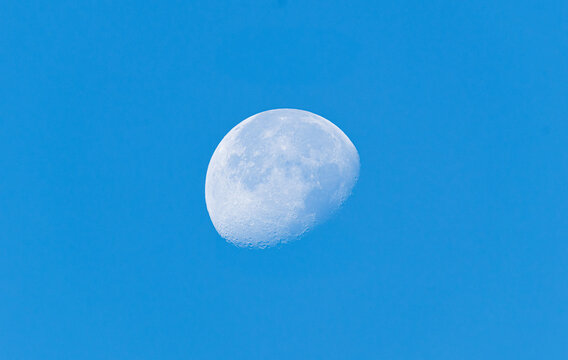 Detailed view of the full moon in a clear day sky. Surface texture and craters visible on the glowing lunar sphere.