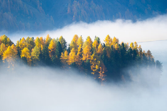 Autumn landscape in the mountains. Foggy morning. Nature. Fog and fall forest. Incredible view of the mountain valley. Photo for background, wallpaper, postcards.