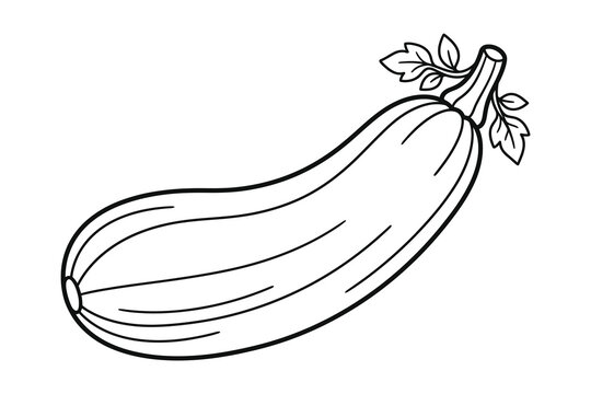 A simple black and white line drawing of a fresh zucchini vegetable isolated on a white background