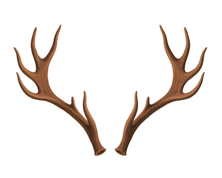 Realistic brown deer antlers with detailed tines and curves isolated on transparent background