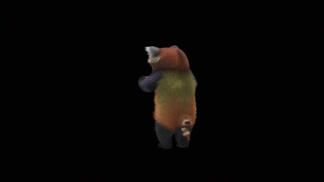 Cute 3D animated red panda dancing rumba with alpha channel. Cartoon animal character isolated for compositing, motion graphics, video editing, and digital content creation.