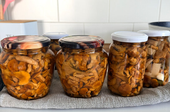 Canning chanterelle mushrooms in jars. Selective focus.