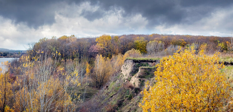 Autumn hillside landscape with golden trees under a stormy sky
