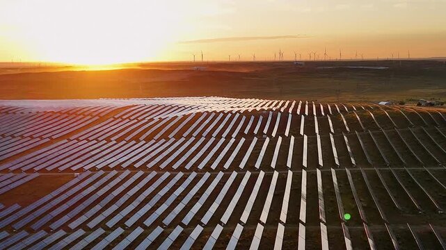 rows of solar panels at sunset